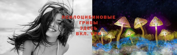 стафф Володарск