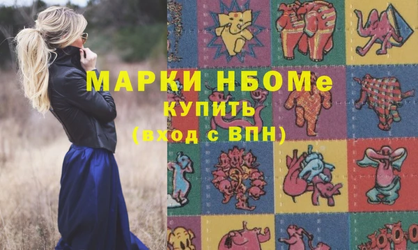 стафф Володарск