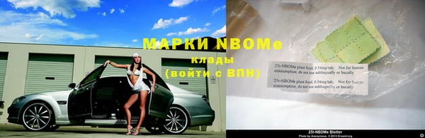стафф Володарск