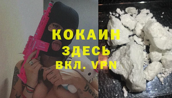 соль ск Лиски