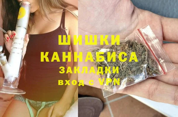 стафф Володарск