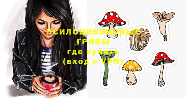 стафф Володарск