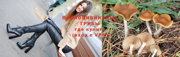 гидра Волосово