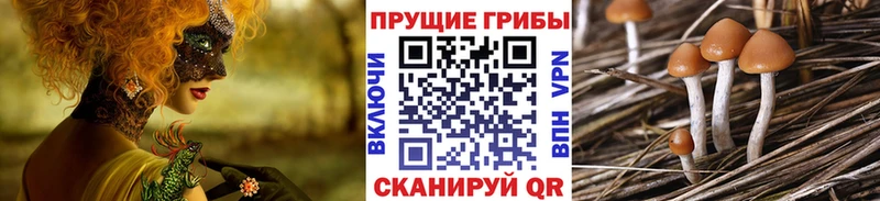 блэк спрут ССЫЛКА  где можно купить   Ноябрьск  Псилоцибиновые грибы мицелий 
