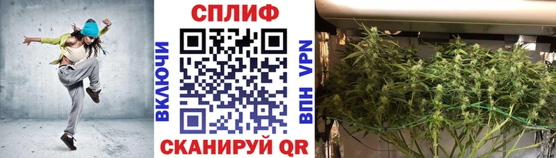 Марихуана сатива  darknet телеграм  Ноябрьск 
